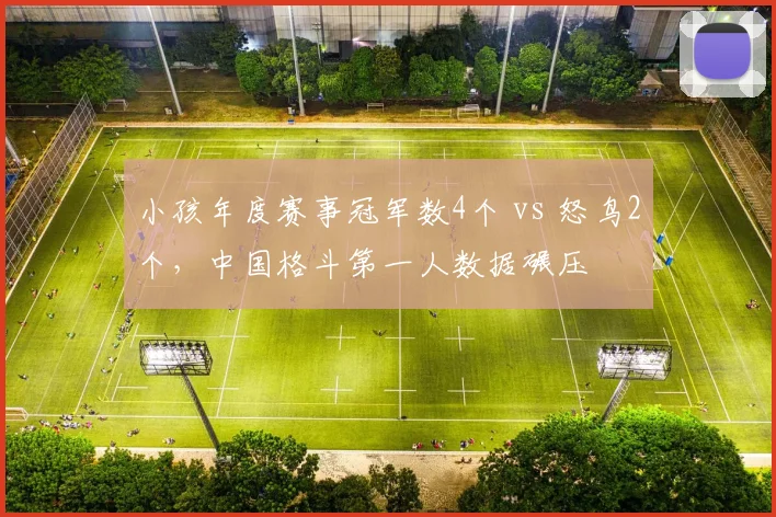 小孩年度赛事冠军数4个 vs 怒鸟2个，中国格斗第一人数据碾压